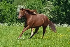 hollys-kayde-hat-es-eilig hollys-kayde-hat-es-eilig