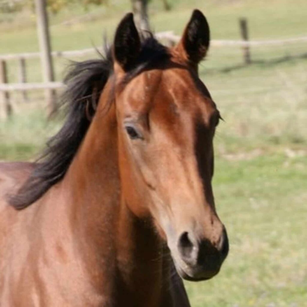 Nahaufnahme von Lynn Treasure