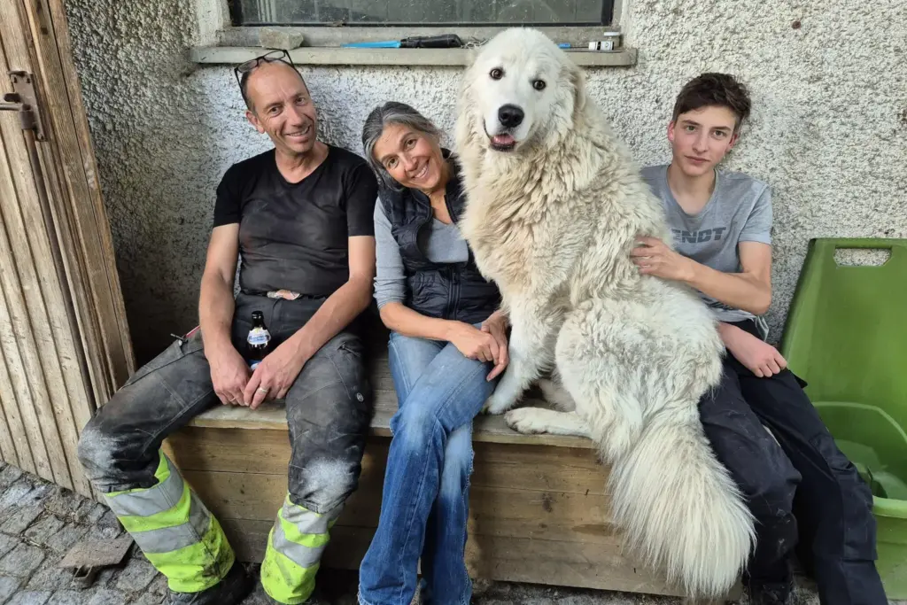 Ulli und Rasso Schatz mit Hütehund und einem Sohn