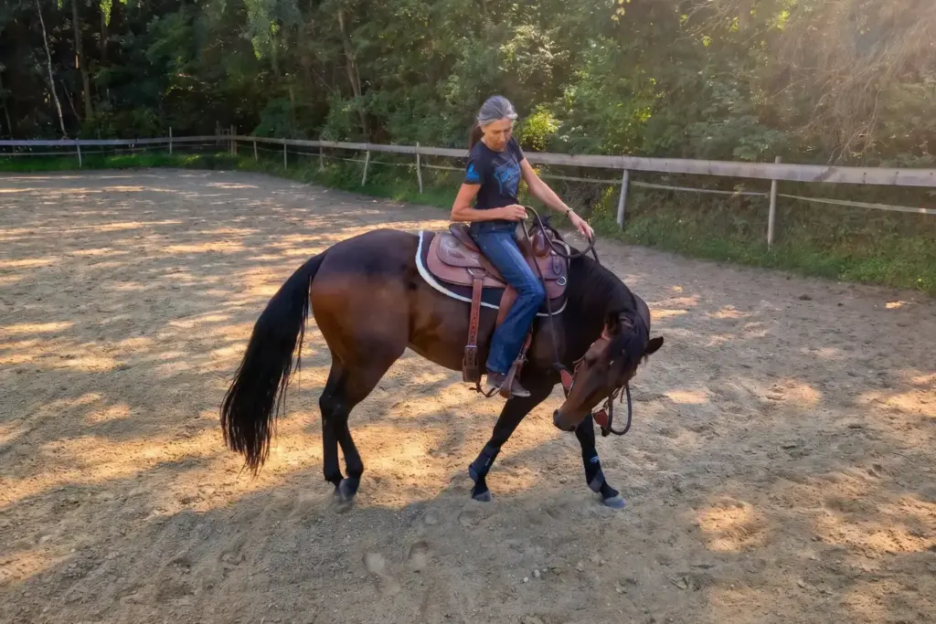 Ulli arbeitet reitet Pferd bei der Morgengymnastik ein.
