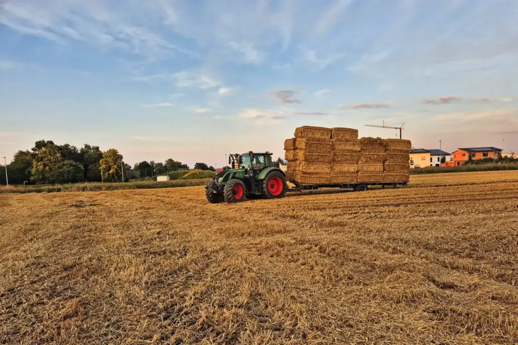 Traktor auf einem goldgelben Feld beim Abtransport von Strohballen