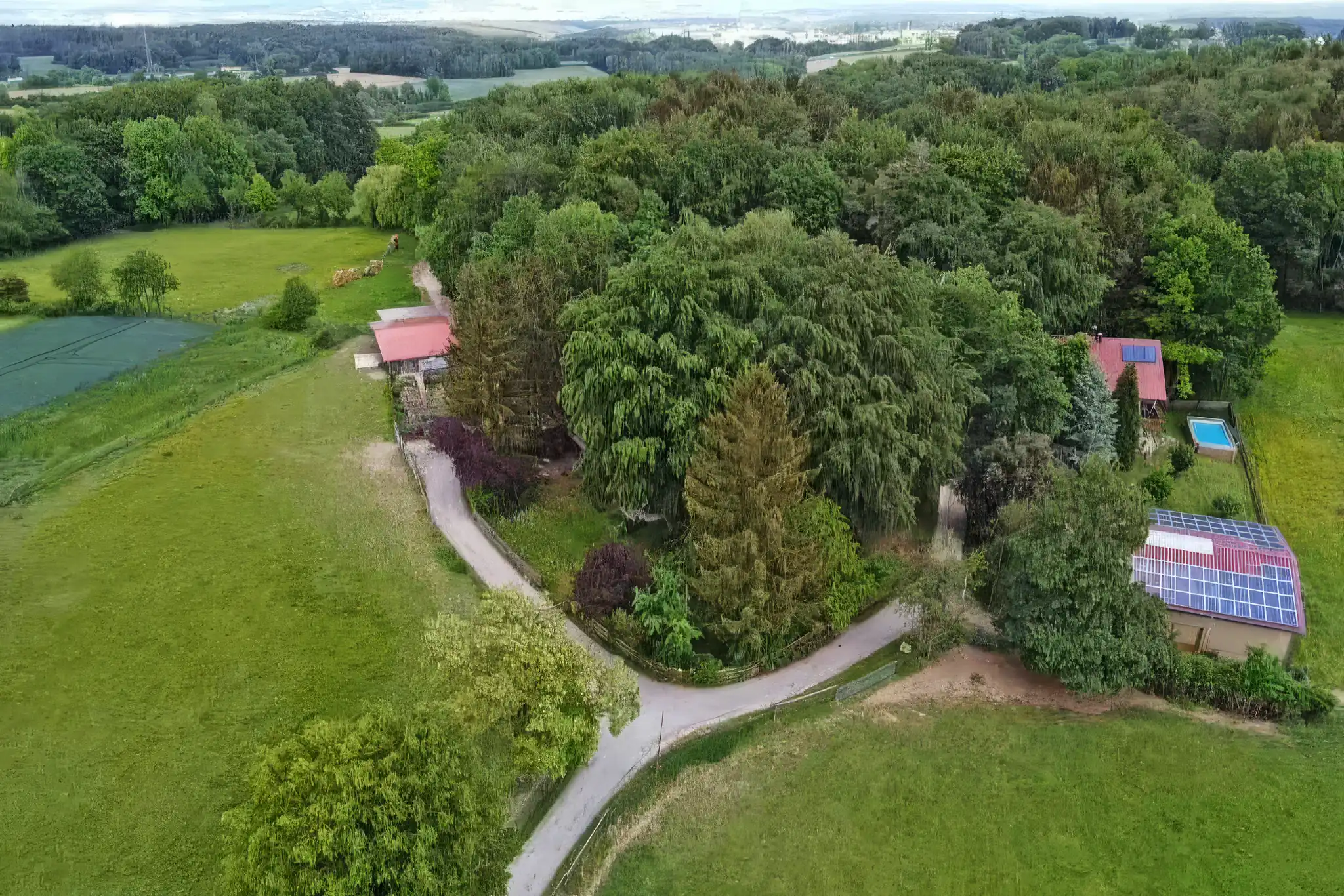 Luftaufnahme des Biohof Schatz in Ursensollen mit Hofgebäuden, Weiden und Wald
