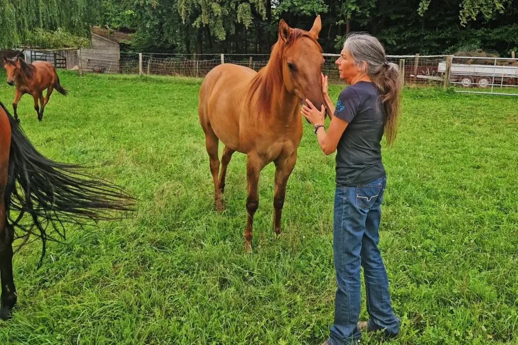 Reittrainerin Ulli Schatz streichelt eines ihrer Pferde, während die herde um sie tobt.